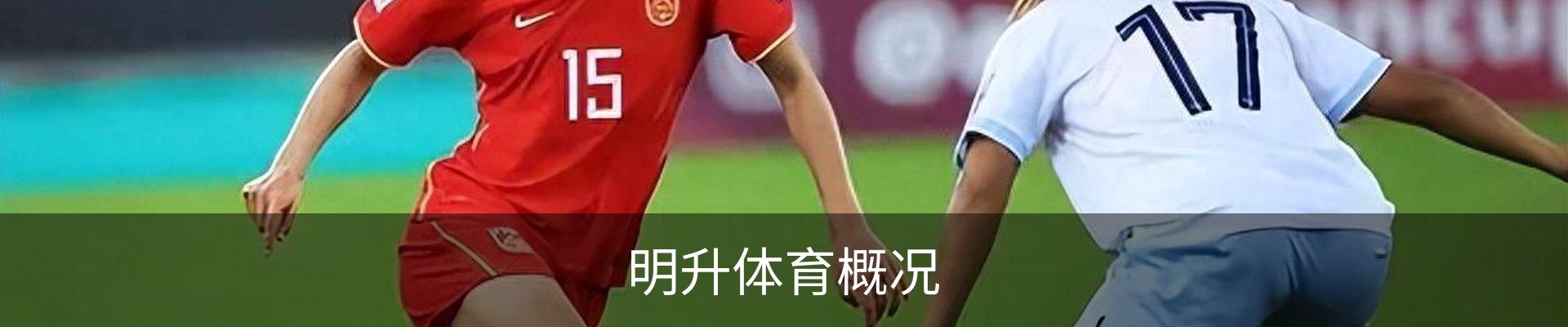 明升体育概况